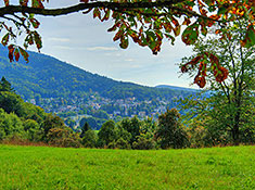 Badenweiler